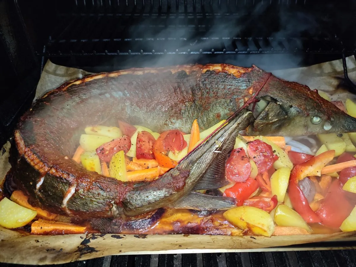 pieczony jesiotr z ziołami na talerzu