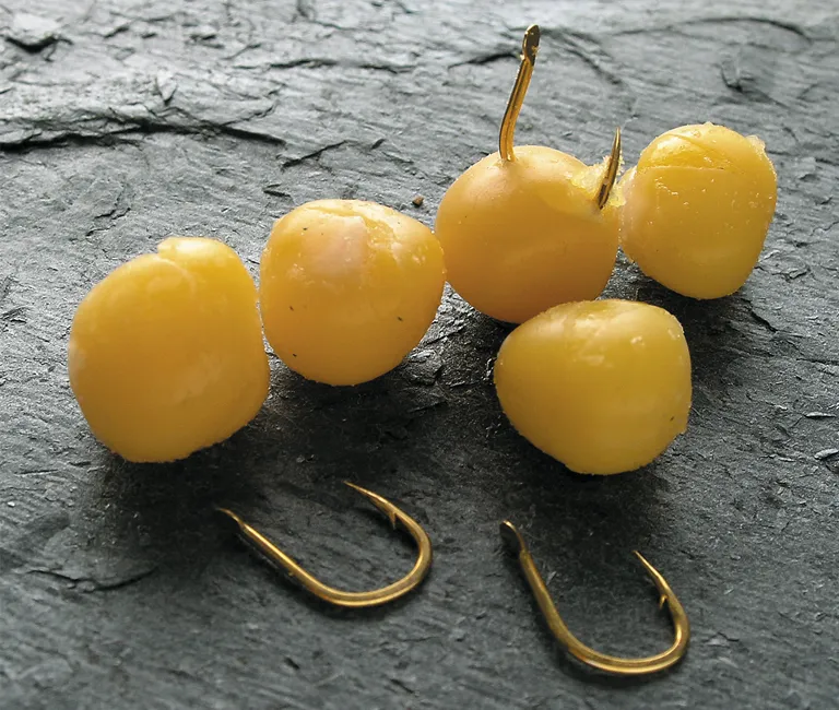 Zakładanie grochu na haczyk wędkarski