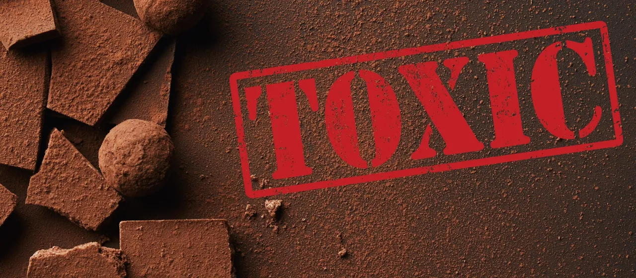 rodzaje czekolady toksyczność dla psa