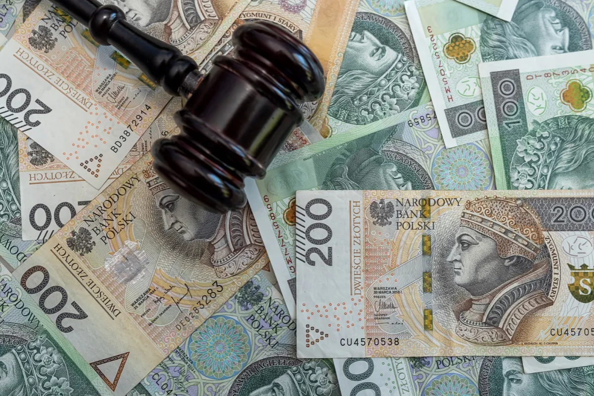 rażąca niewdzięczność przykłady orzecznictwo