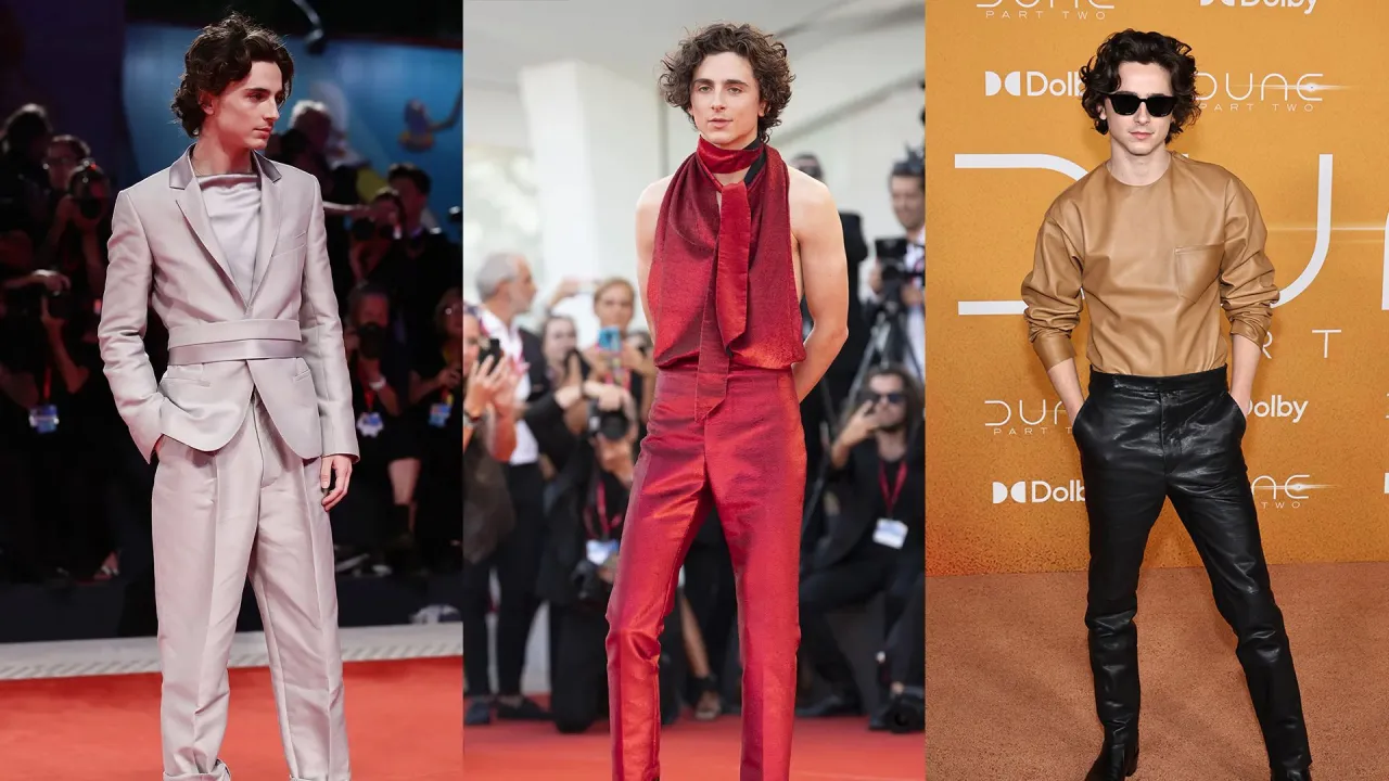 Timothée Chalamet stylizacje