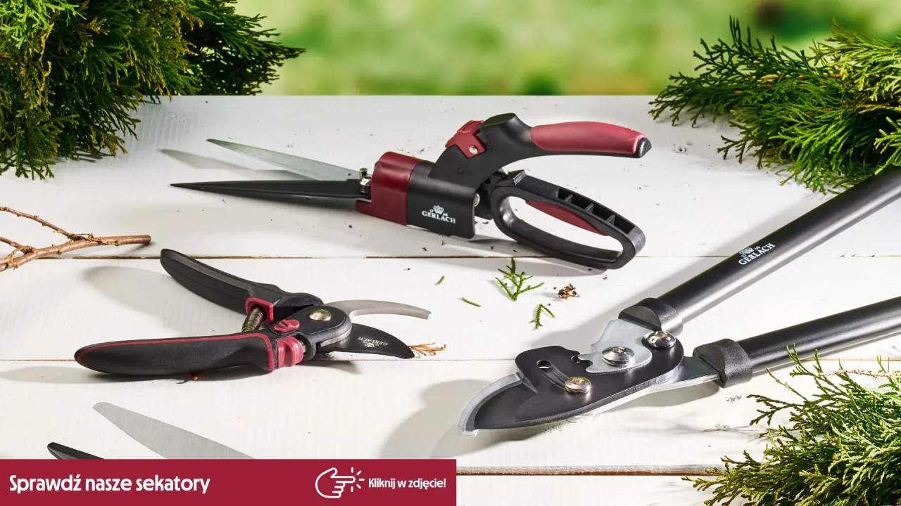 Narzędzia do przycinania drzew owocowych