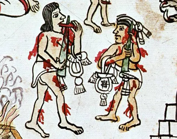 Historia przekłuwania języka rytuały Maj&oacute;w Aztek&oacute;w