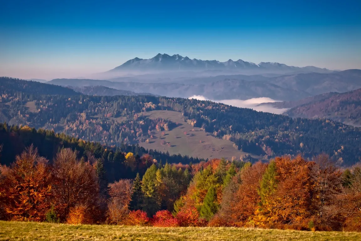 Bacówka nad Wierchomlą widoki Tatry