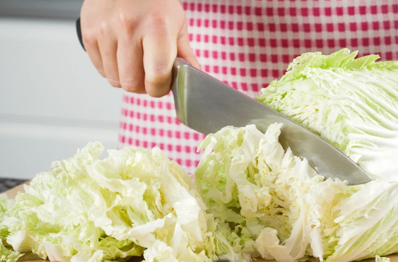 wodnista sur&oacute;wka z kapusty błędy