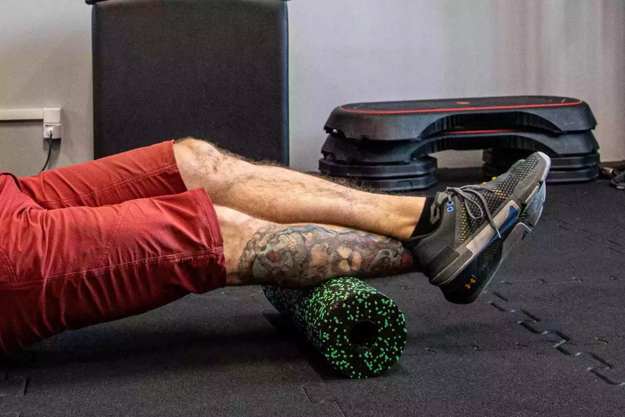 Anatomia mięśni łydki