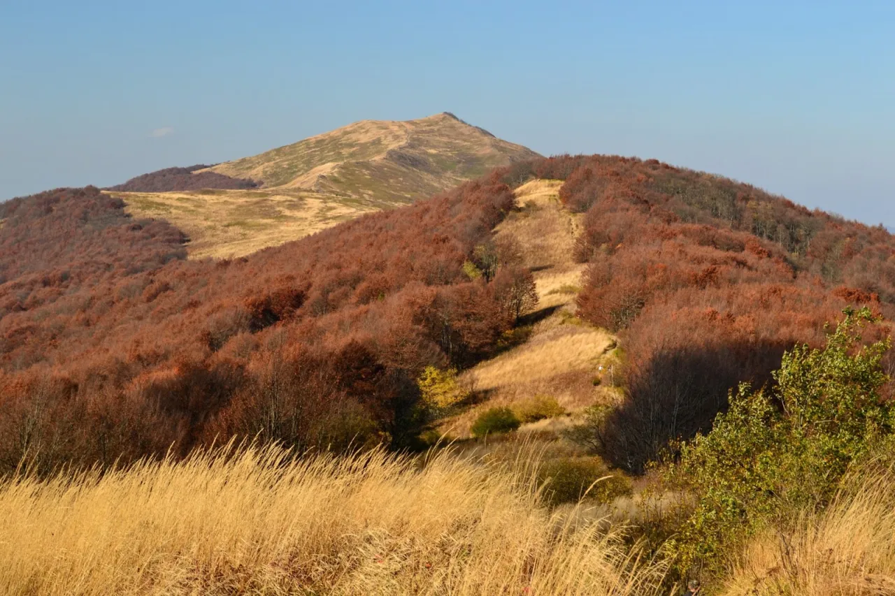 bieszczady połoniny dzika przyroda