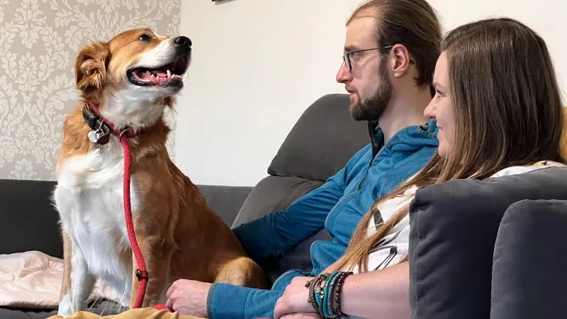 pies i behawiorysta na konsultacji