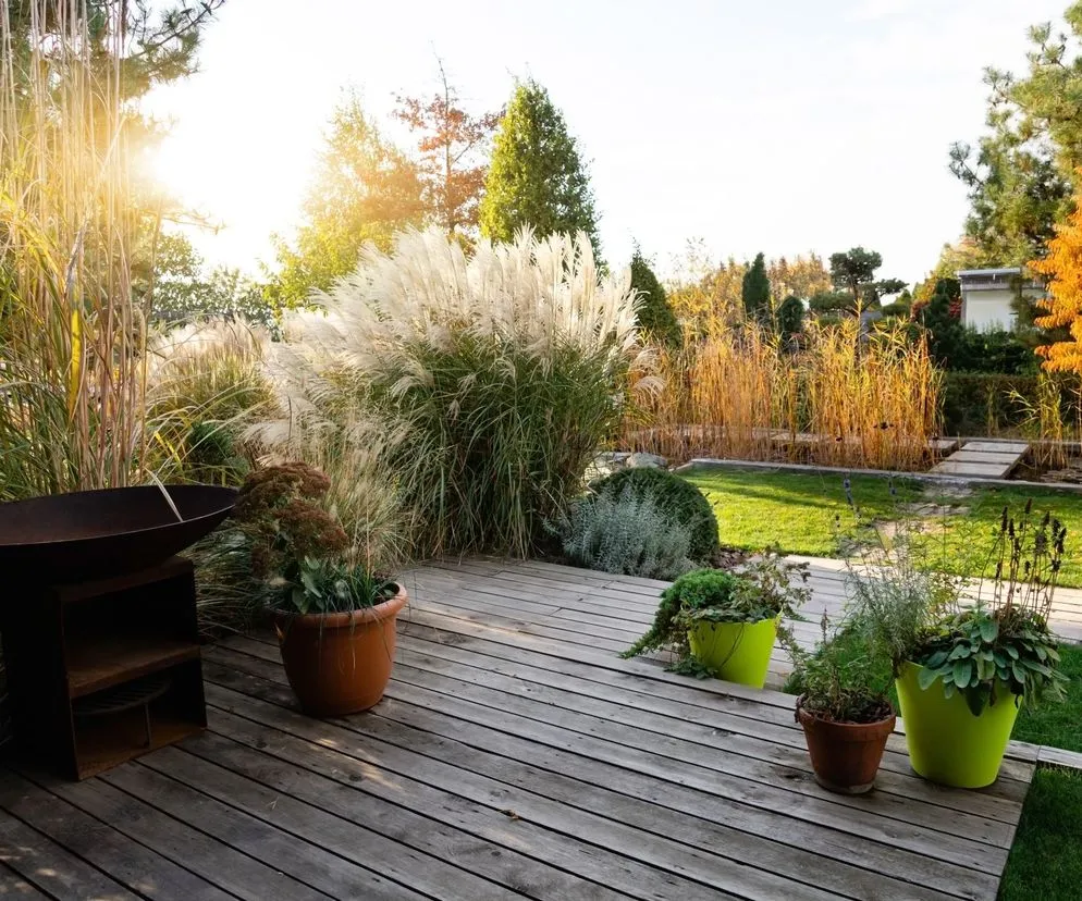 Zabezpieczone donice na zimę na tarasie