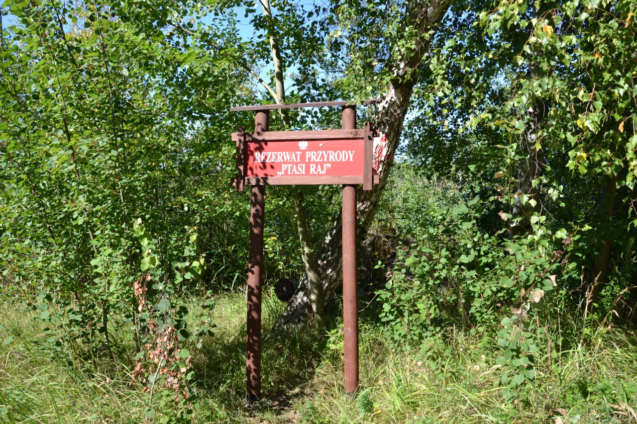 Zdjęcie Rezerwat przyrody Ptasi Raj: odkryj niezwykłe ptaki i przyrodę