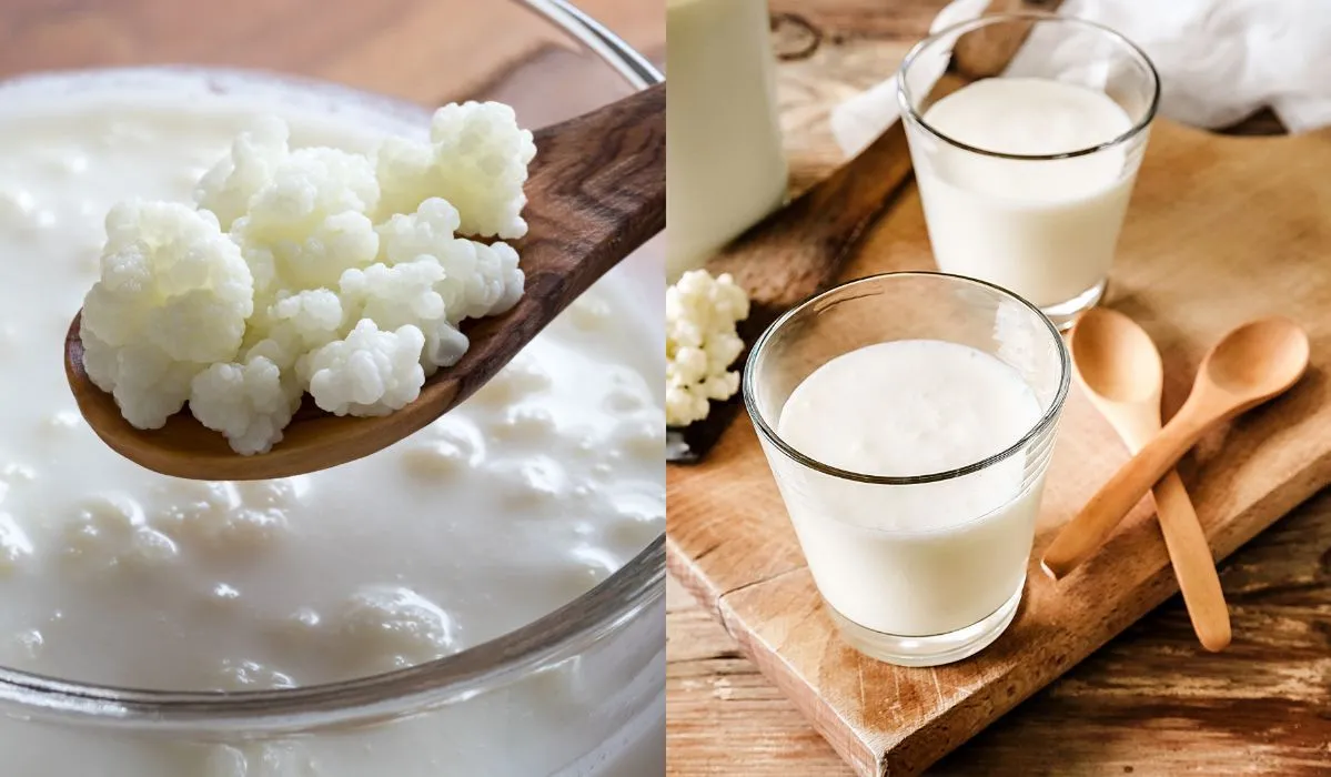 Zdjęcie Jak zrobić domowy kefir? Przepis na pyszny napój probiotyczny