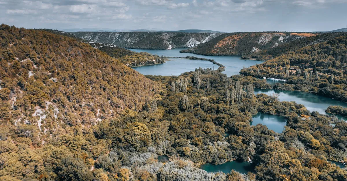 Zdjęcie Jakie zwierzęta i rośliny chronione kryje Pieniński Park Narodowy?