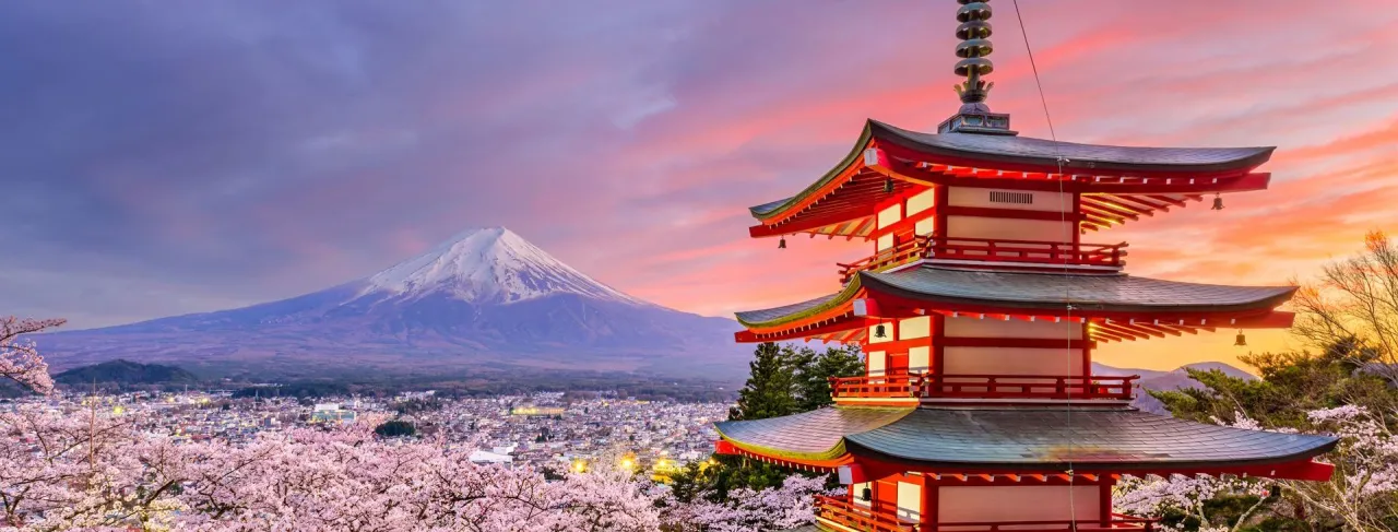 Zdjęcie Co może rosnąć w japońskich górach? Odkryj niezwykłą florę Japonii