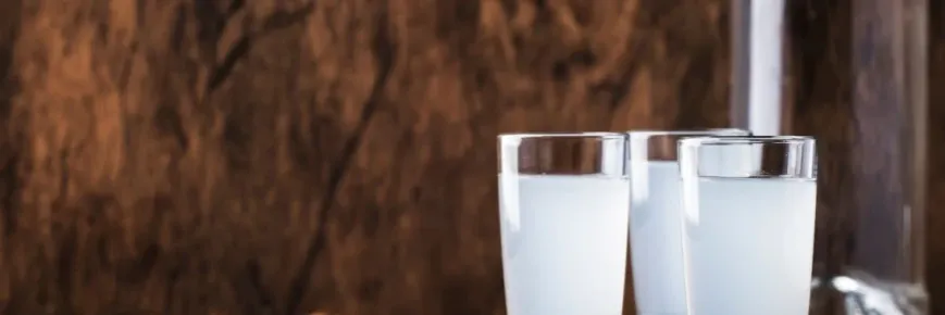 Zdjęcie Gorący napój z araku: przepis na wyjątkowy smak i aromat