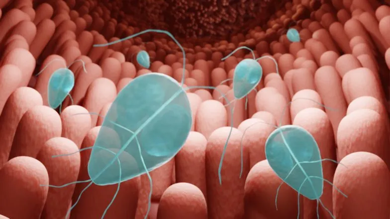 Zdjęcie Lamblia objawy psychiczne: jak zakażenie wpływa na Twoje samopoczucie