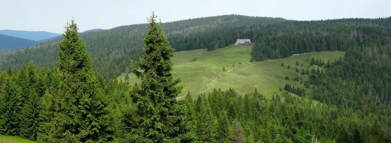 Zdjęcie Turbacz - co to za góry i dlaczego warto je odwiedzić?