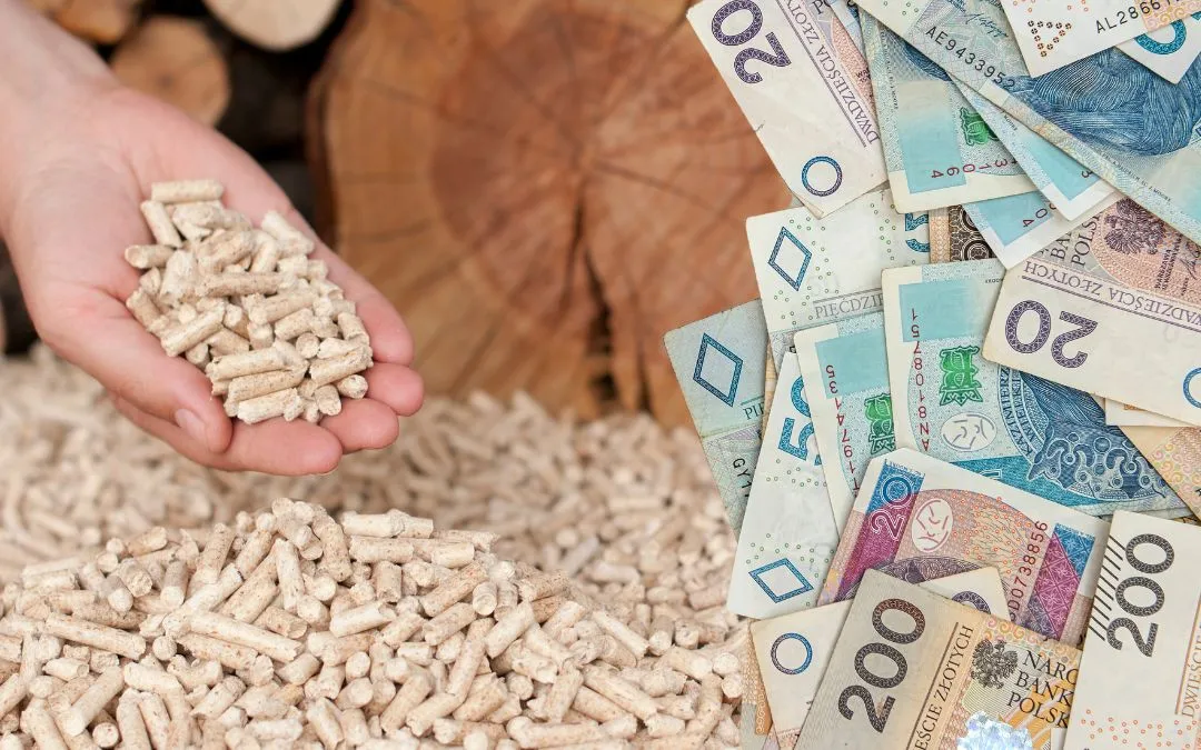 Zdjęcie Ile kosztuje pellet w Niemczech? Ceny, porównania i zakupy w 2023