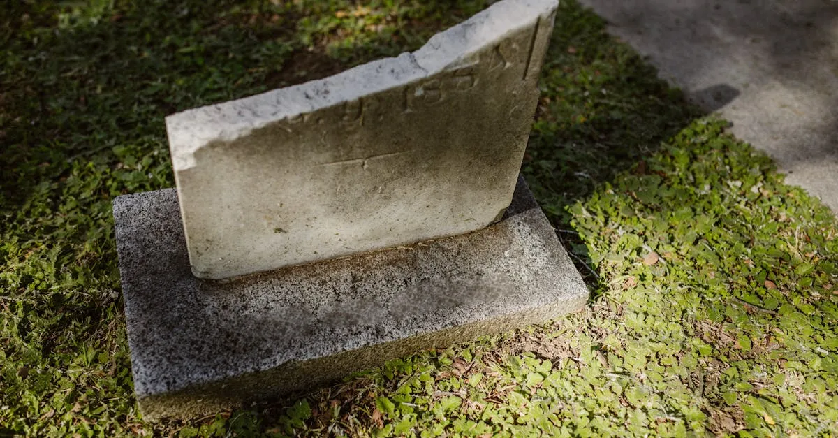 Zdjęcie Czy znasz tajemniczy cmentarz w Malborku? 5 faktów z jego historii