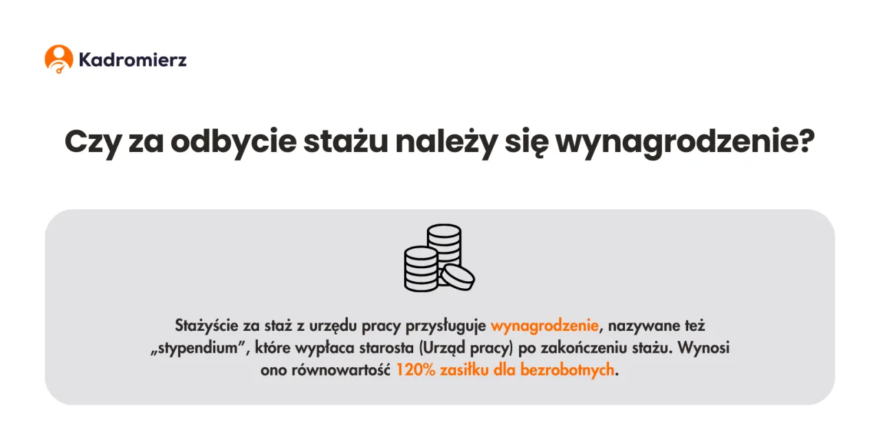 Zdjęcie Ile zarabia się na stażu? Sprawdź, co wpływa na wynagrodzenie