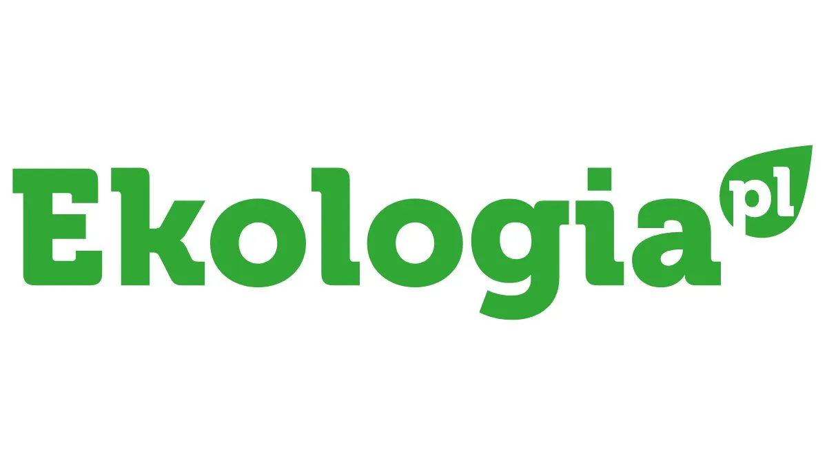 Zdjęcie Co to jest systematyka w biologii i jak wpływa na klasyfikację organizmów