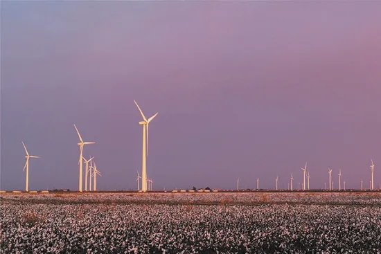 Zdjęcie Zalety energii wiatrowej: jak unikać kosztów i chronić środowisko