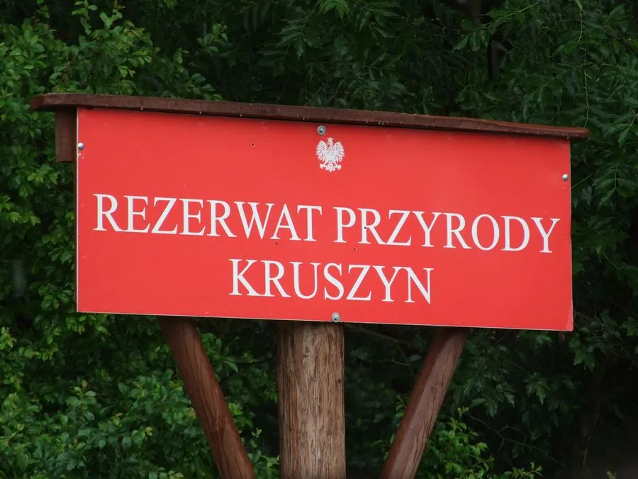 Zdjęcie Rezerwat Hedera: odkryj pochodzenie nazwy i jej znaczenie
