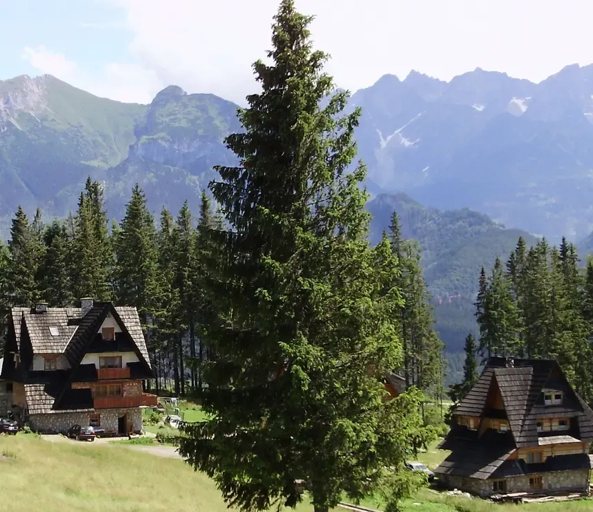Zdjęcie Bukowina Tatrzańska gdzie zjeść - najlepsze miejsca na lokalne smaki