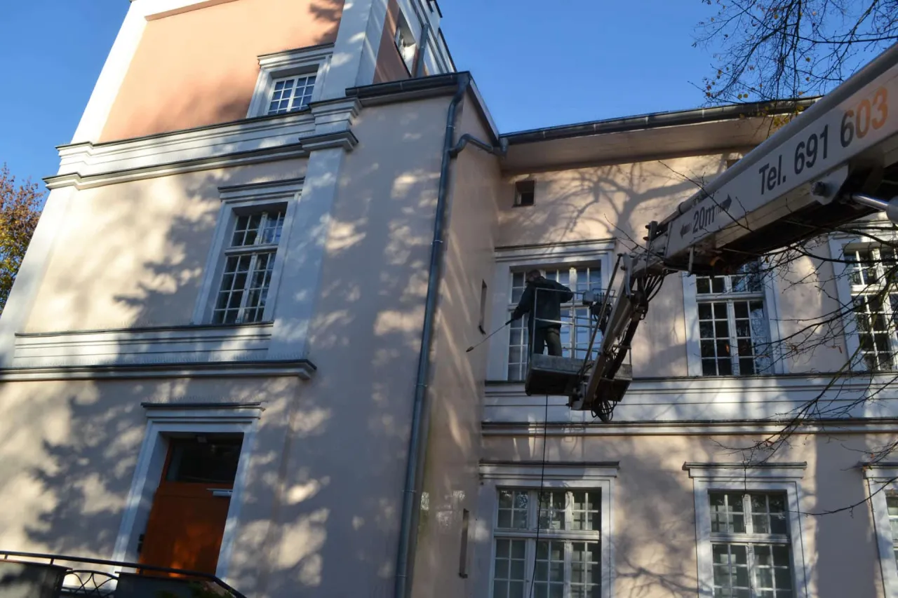 Zdjęcie Jak usunąć ptasie odchody z elewacji - skuteczne metody i porady.
