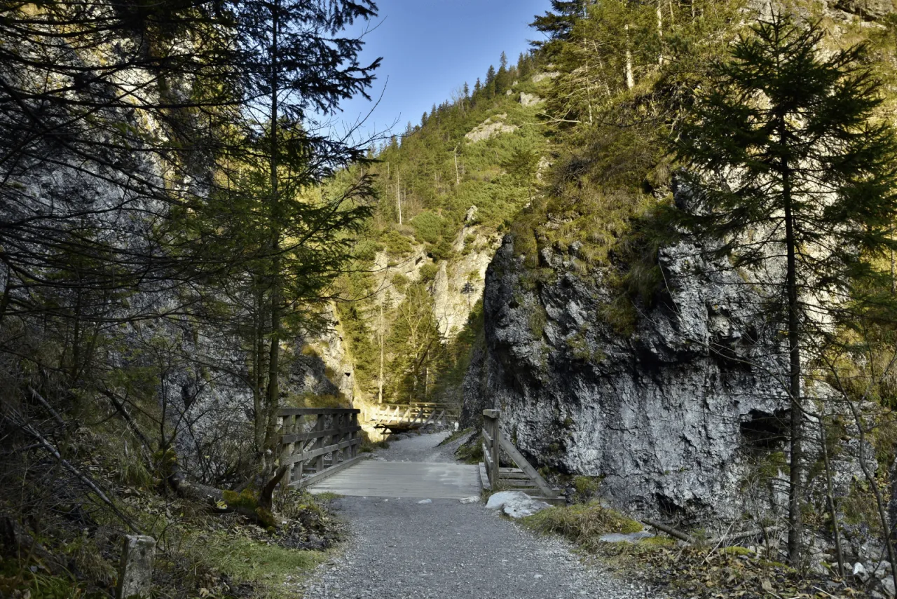 Zdjęcie Najlepsze trasy rowerowe w Zakopanem - odkryj piękne szlaki
