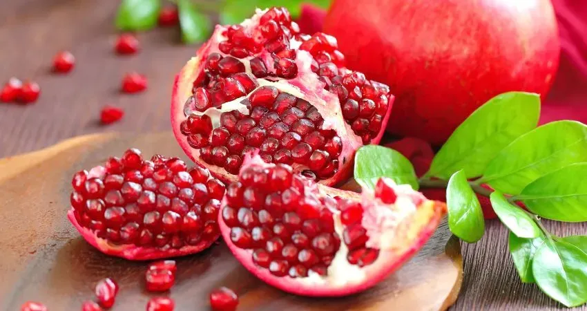 Zdjęcie Czy pies może jeść granata? Odkryj ryzyka i bezpieczne metody podawania