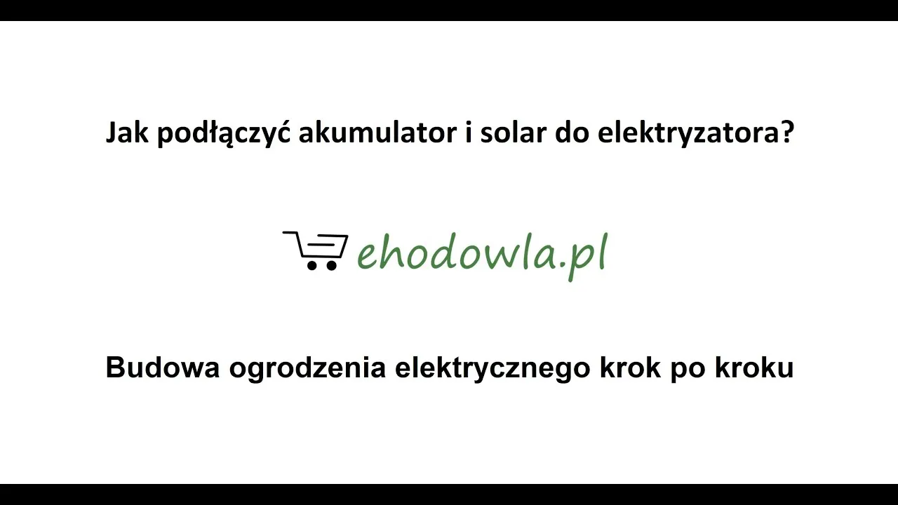 Zdjęcie Jak podłączyć pastuch do akumulatora - proste kroki i porady
