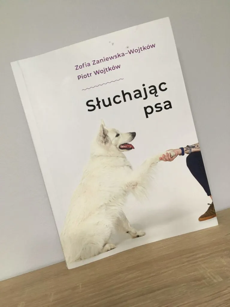 Zdjęcie Jak wytresować psa żeby się słuchał: 10 skutecznych metod