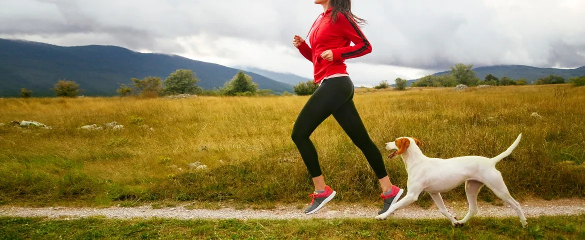 Zdjęcie Chien footing : 10 conseils essentiels pour courir en toute sécurité