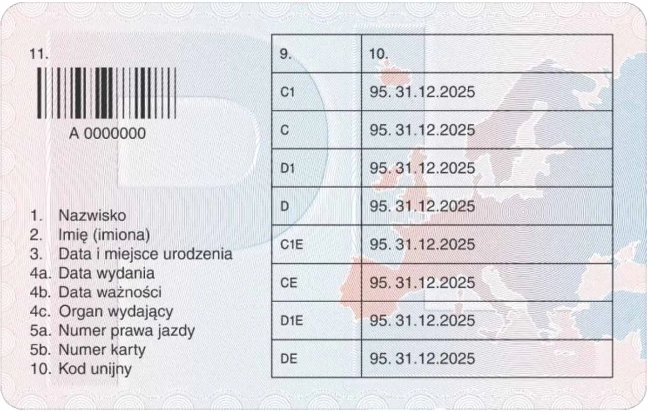 Zdjęcie Jakie dokumenty są potrzebne do karty kierowcy w Polsce?