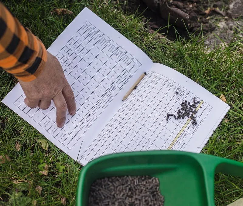 kalendarz nawożenia krzewów ozdobnych