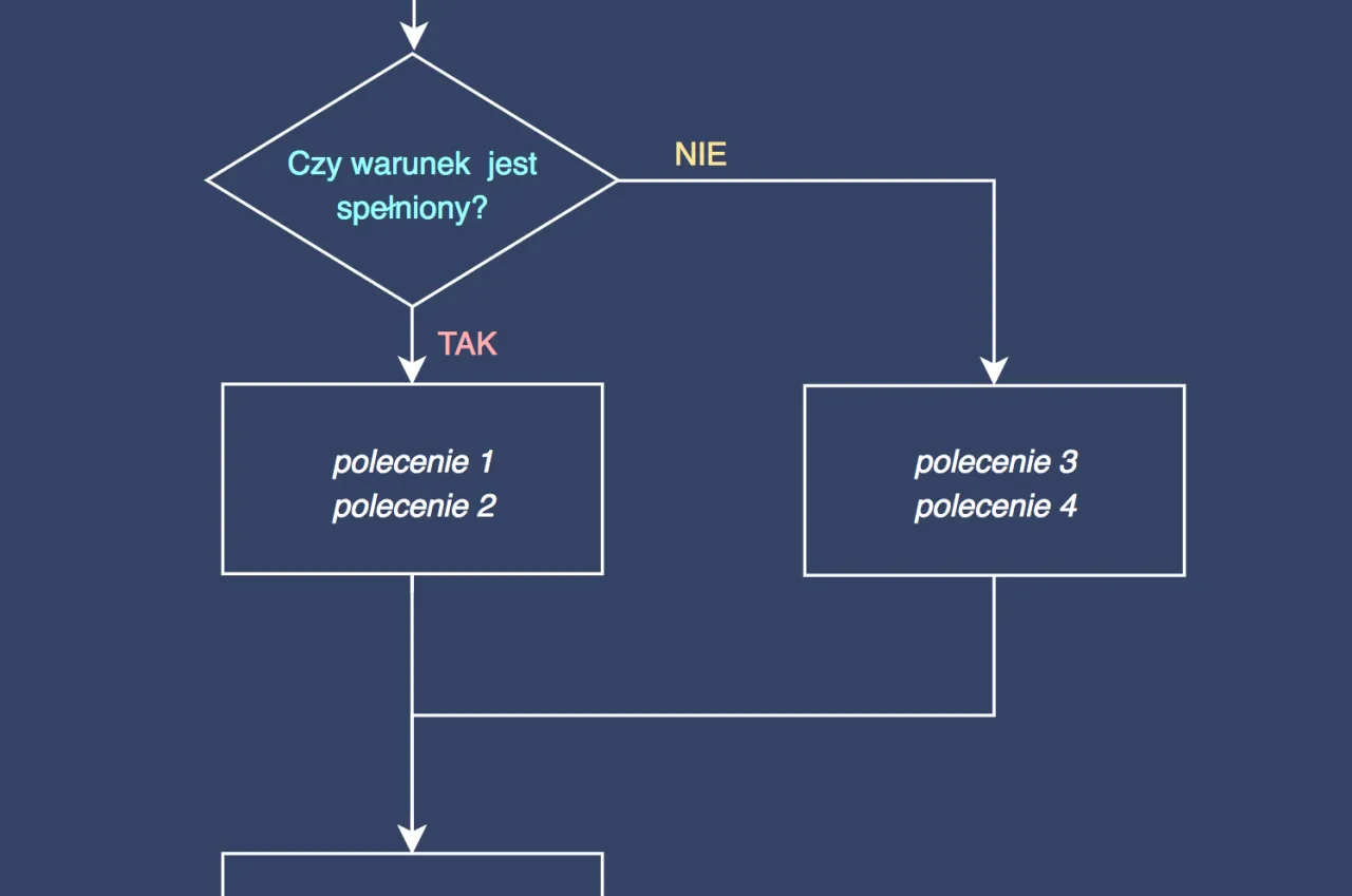 schemat blokowy instrukcji warunkowej if else