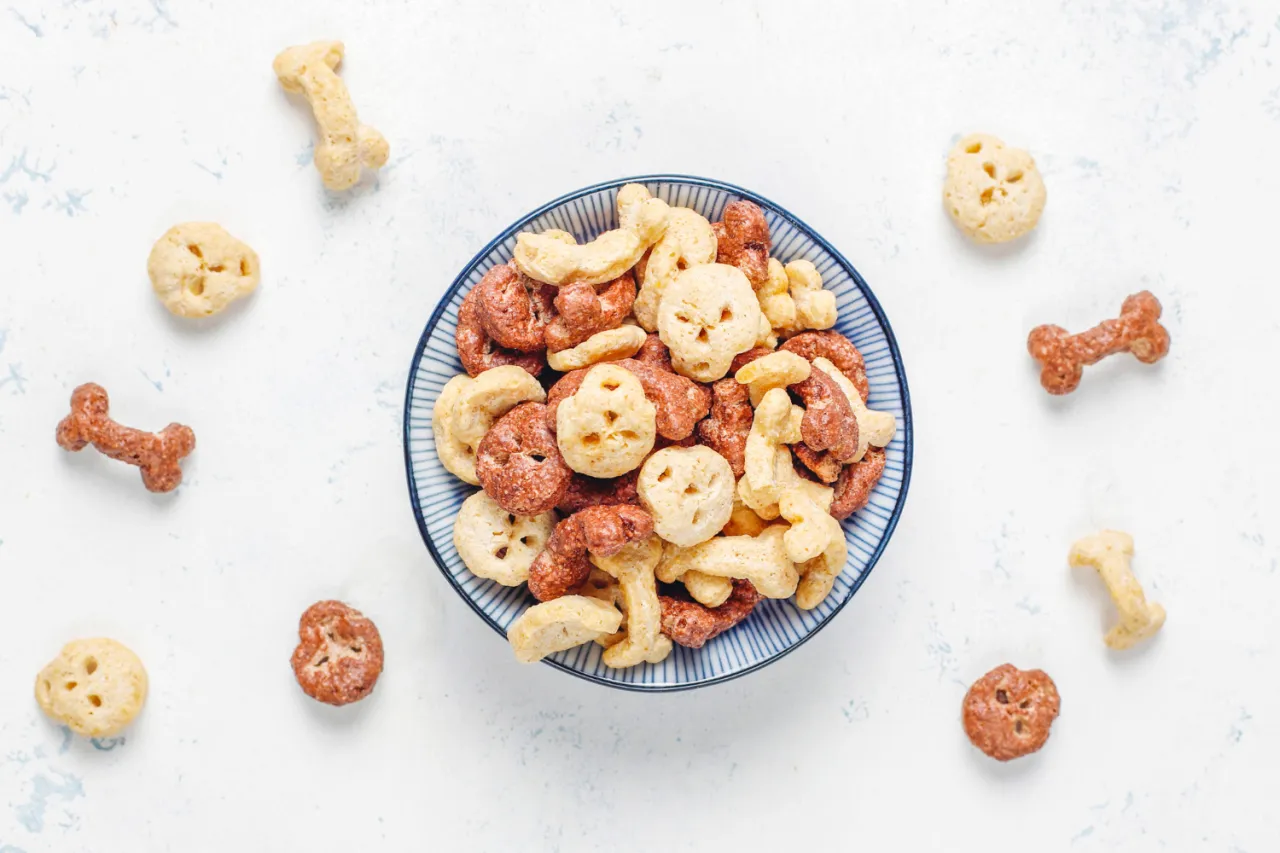 zdrowe przekąski dla psa warzywa