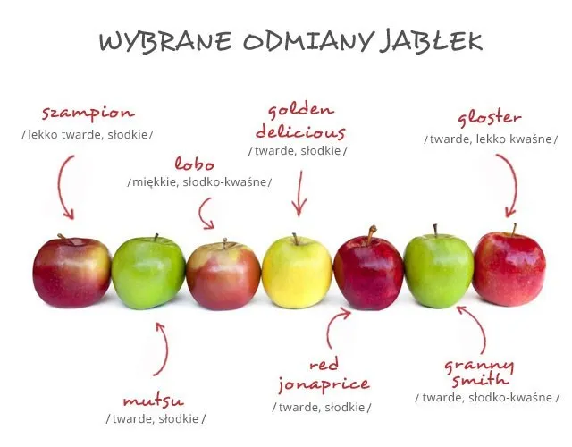 różne odmiany jabłek i ich rozmiary