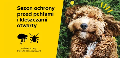 schemat działania tabletki na kleszcze w organizmie psa