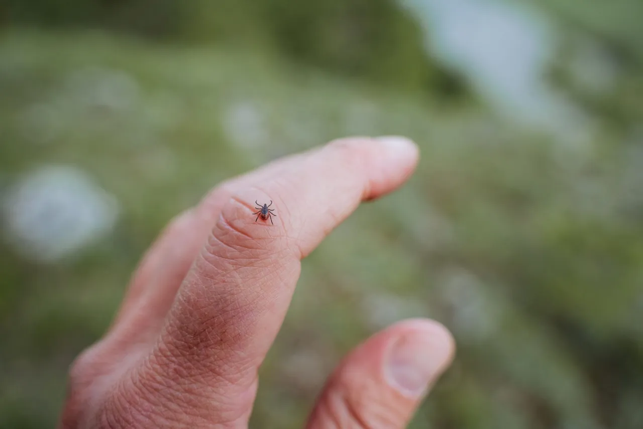 Psychiczne objawy neuroboreliozy