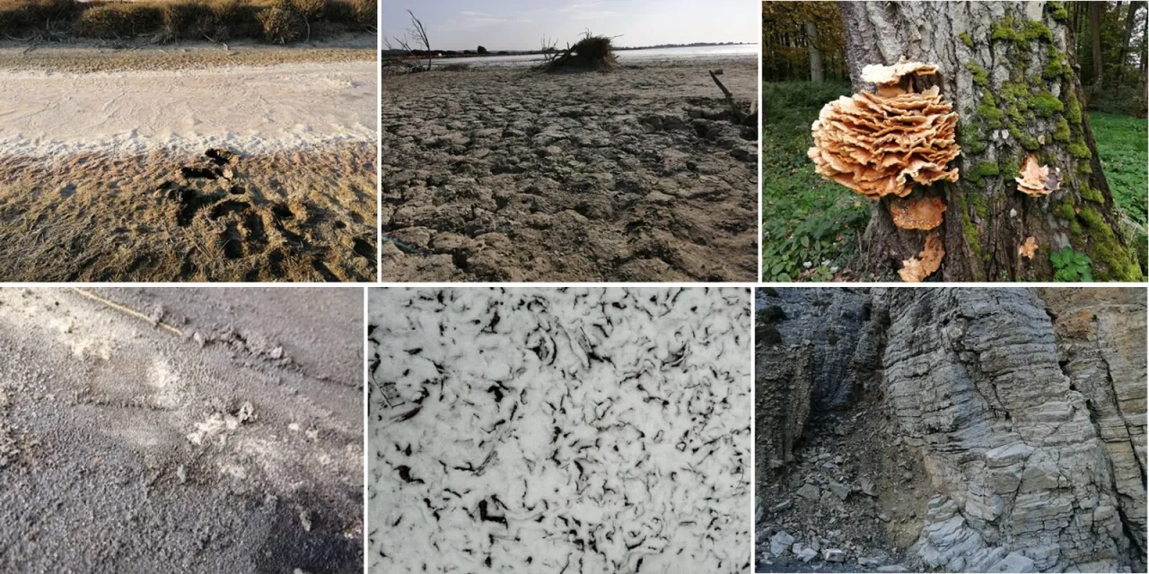 przykłady faktur malarskich r&oacute;żne techniki