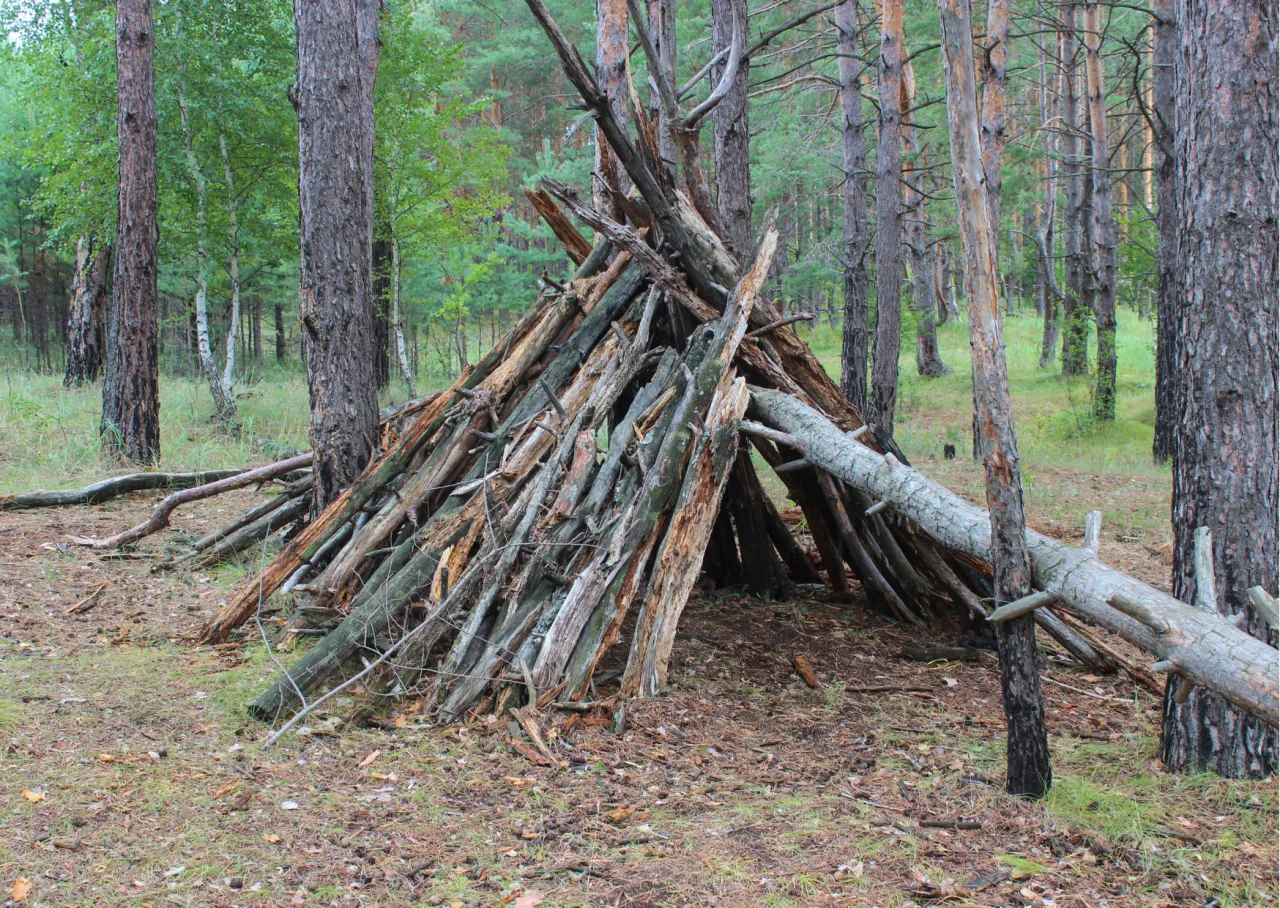 Uzdatnianie wody w lesie survival