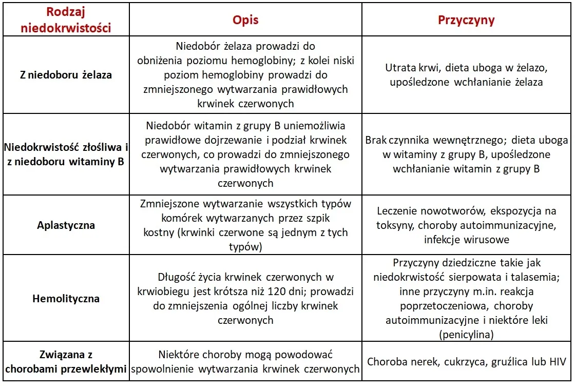 Zdjęcie Czy przy anemii można ćwiczyć? Bezpieczne ćwiczenia i zalecenia