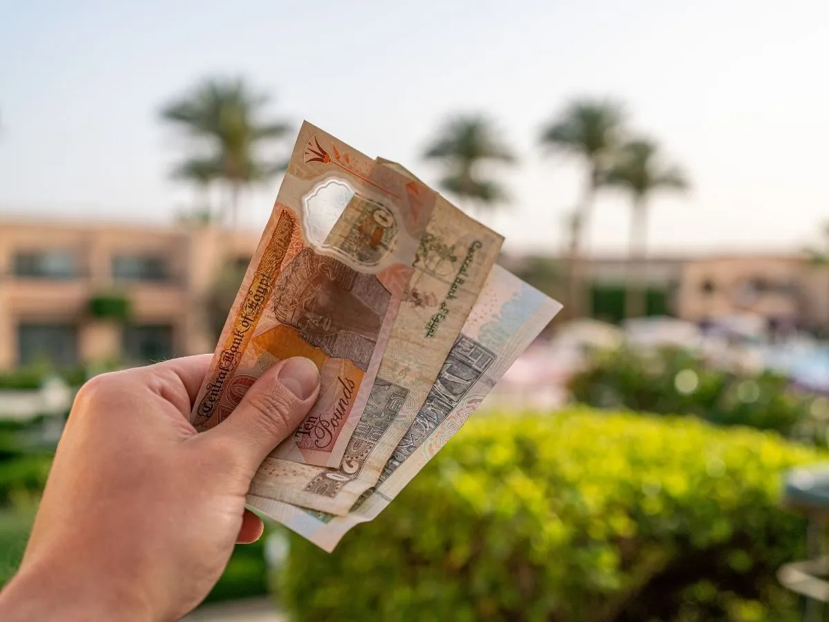 Dłoń trzyma banknoty. Jaka waluta w Egipcie? To funty egipskie, widoczne na tle palmy i hotelu.