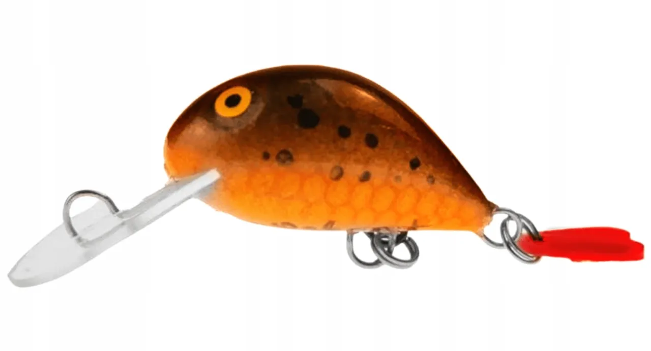 Wędkarz z przynętą martwa rybka