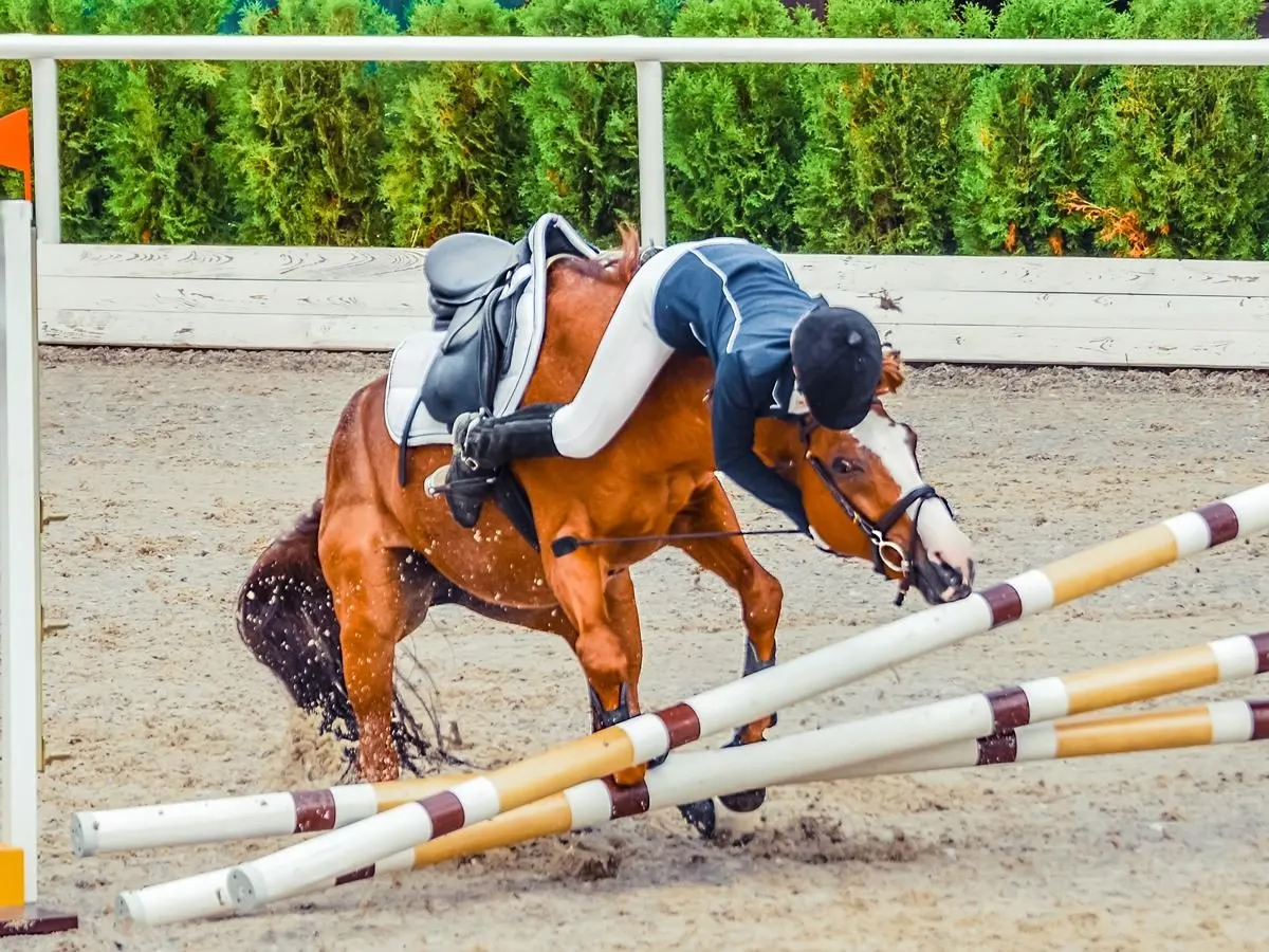 Nauka jazdy konnej Dobrzyniewo