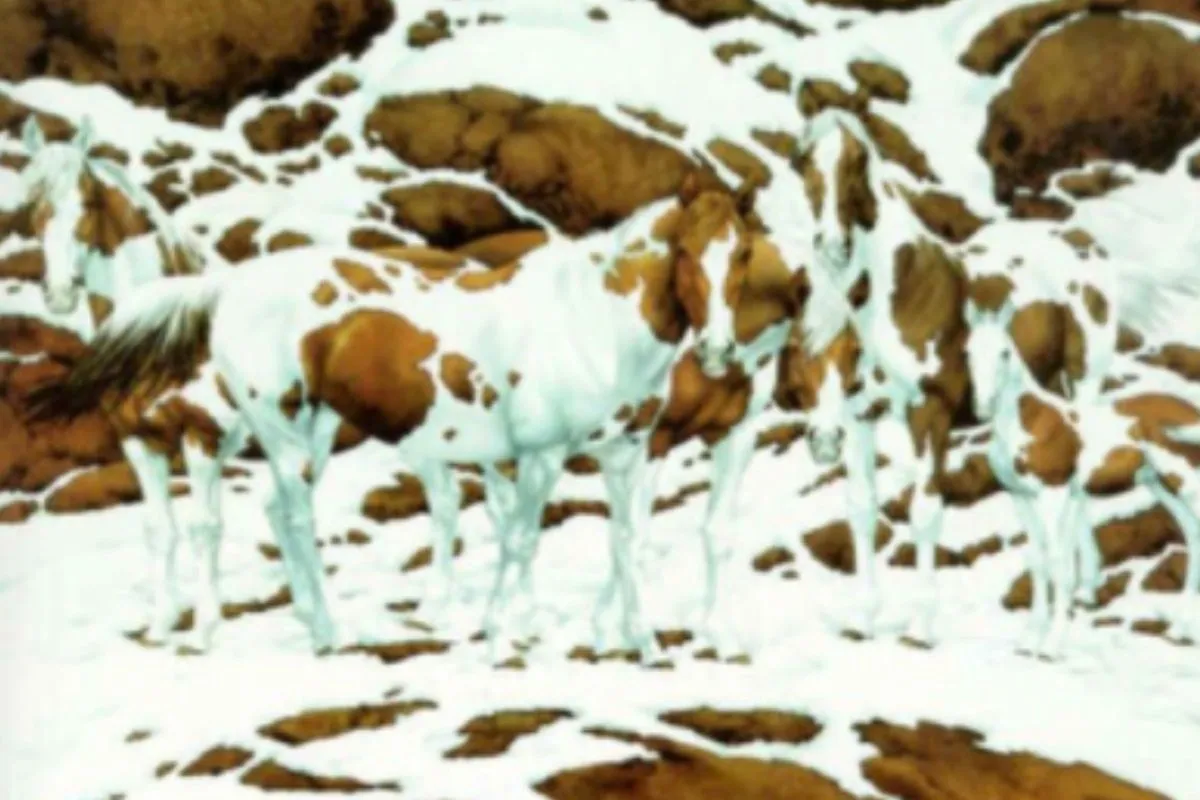 Koń rozwiązujący zagadkę, np. otwierający bramkę