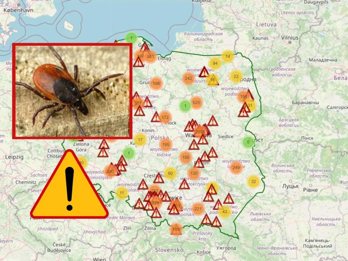 Mapa Polski regiony ryzyka kleszczy