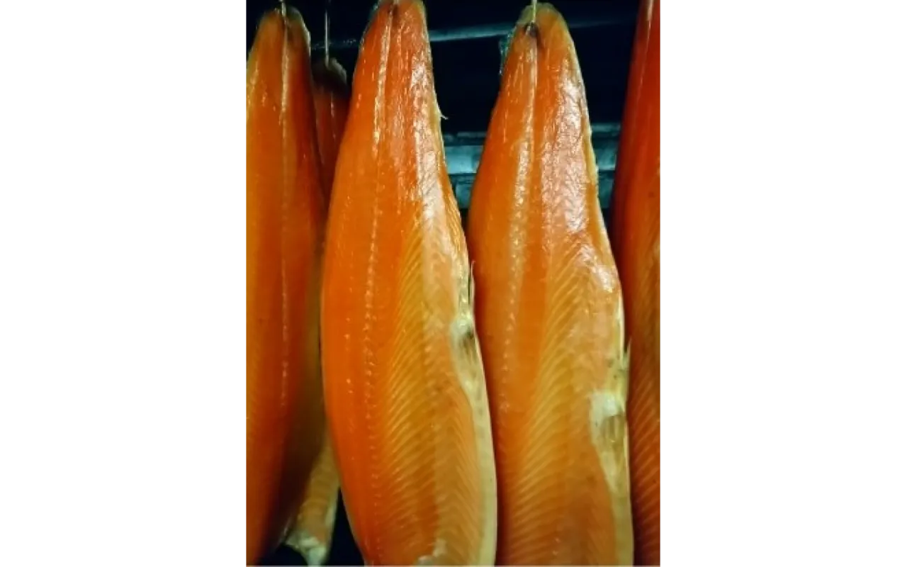 przygotowanie łososia do wędzenia