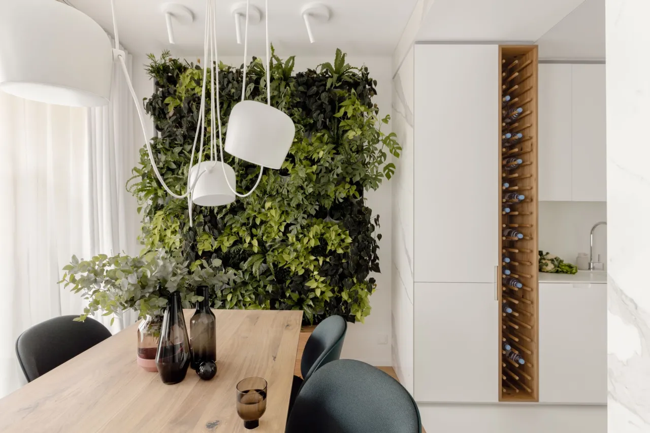 R&oacute;żnorodność roślin doniczkowych do salonu, katalog roślin